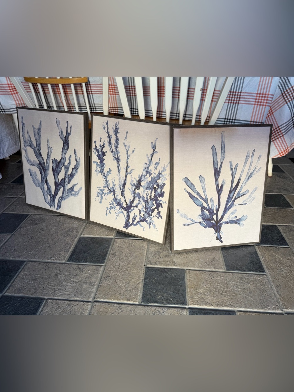 Coastal Blue Coral Triptych Wall Art 3 pack